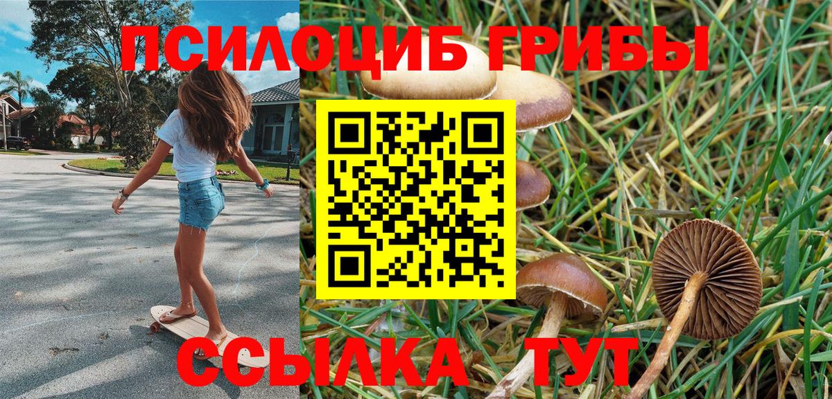 Галлюциногенные грибы Magic Shrooms Отрадный